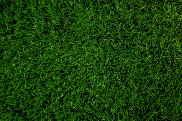 burgas turf management