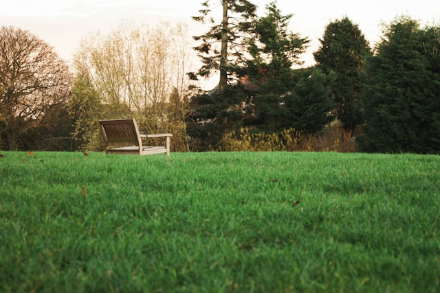 burgas turf management